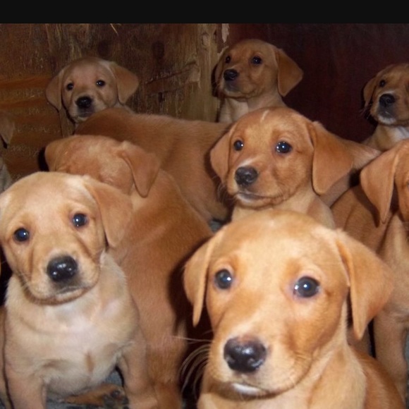 Bundle and Save! - Picture 7 of 10